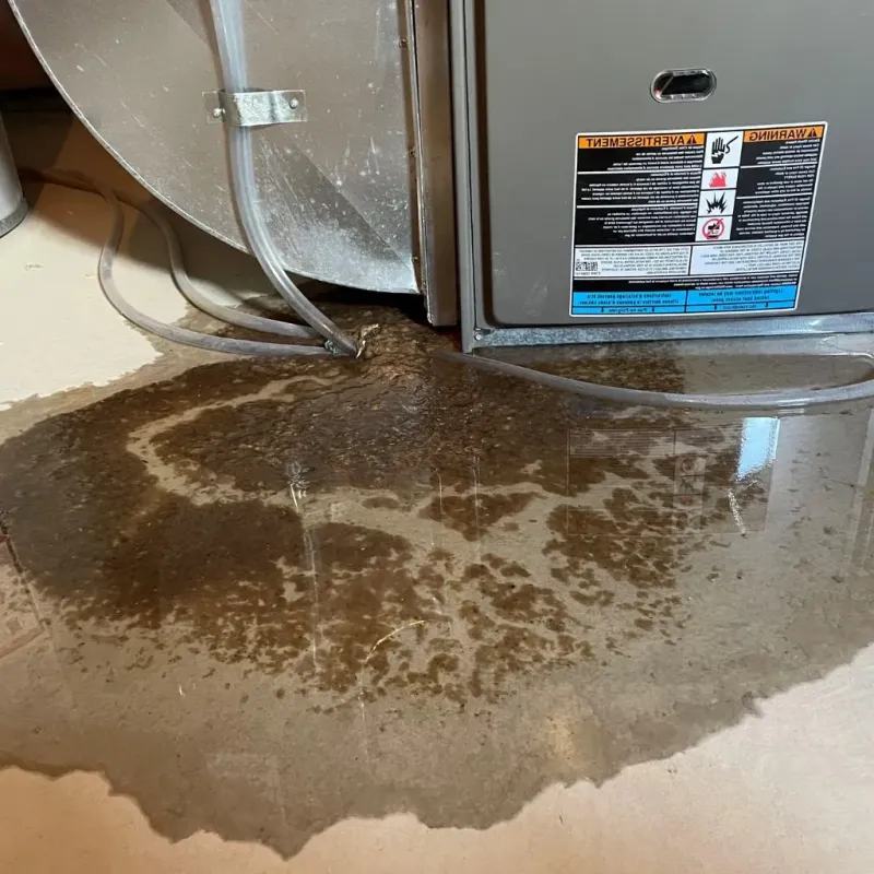 Pipe Burst and Leak Restoration in Montgomery County, OH