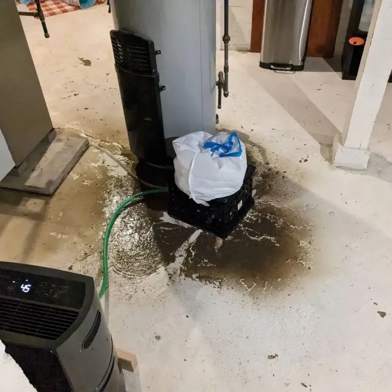 Sewage Backup Cleanup Service in Montgomery County, OH